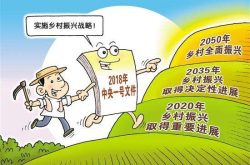 临沂市发改委到高峰头镇开展调研活动  加快推动实施乡村振兴战略